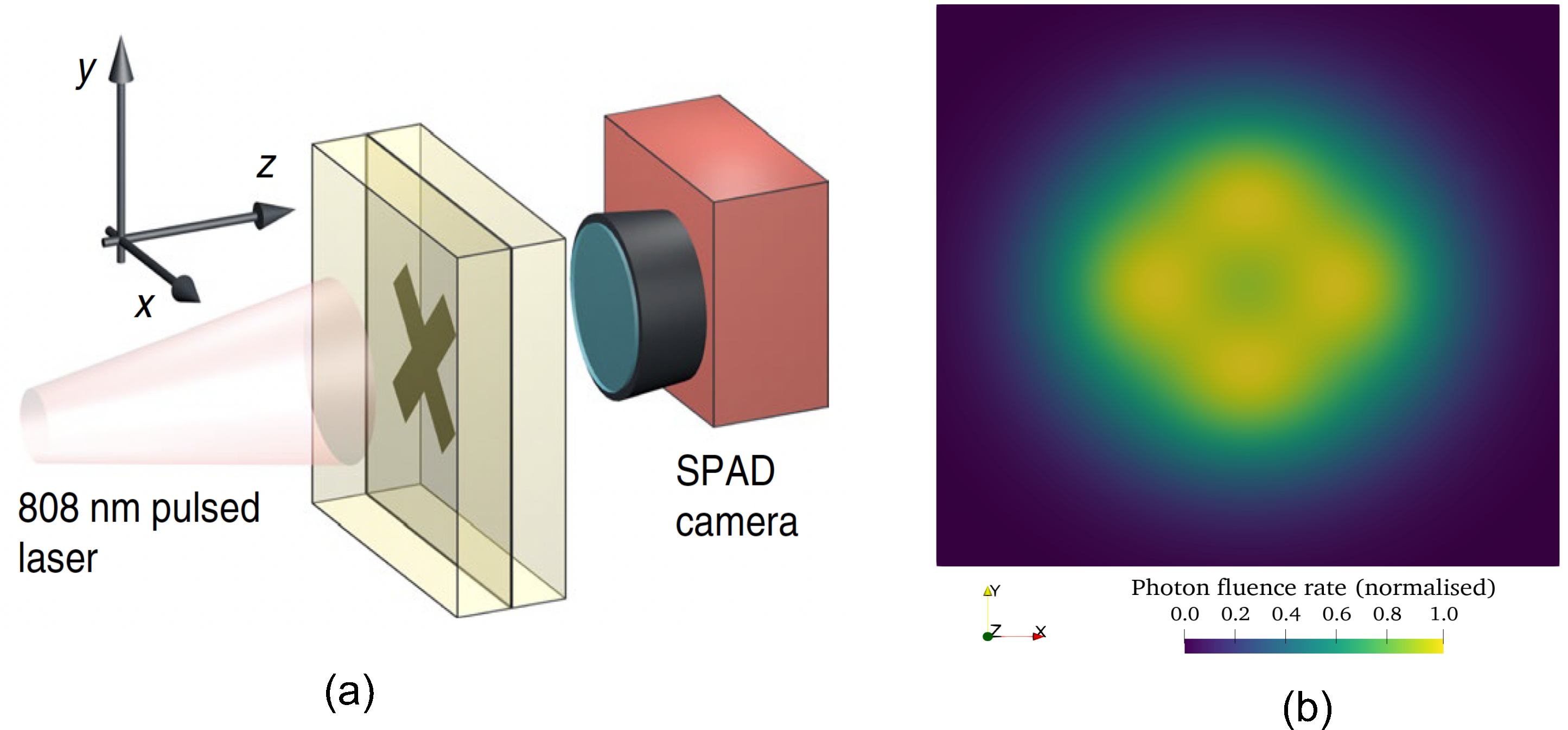 Description of your image