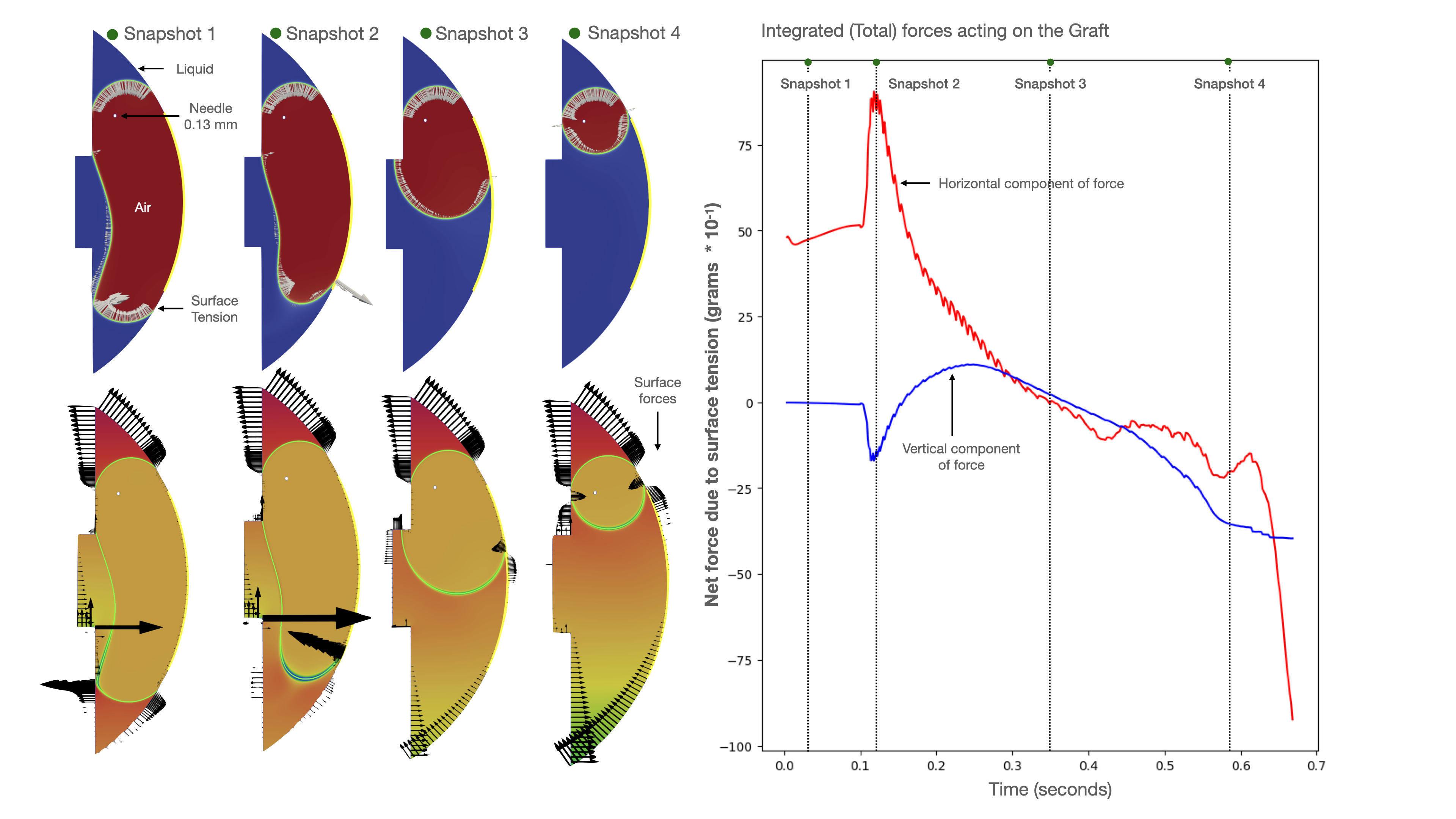 Description of your image