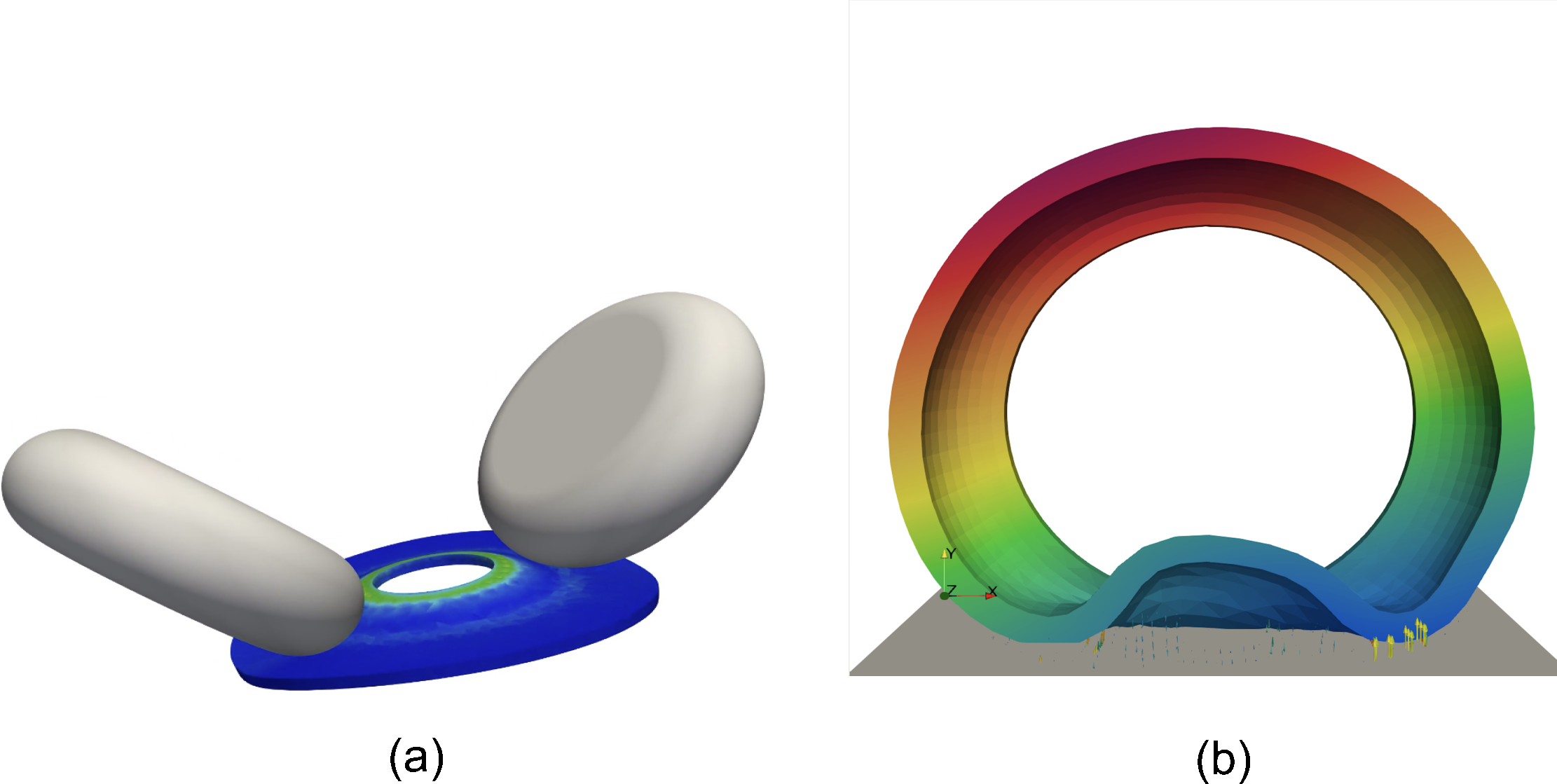 Description of your image